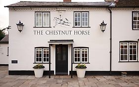 Chestnut Horse